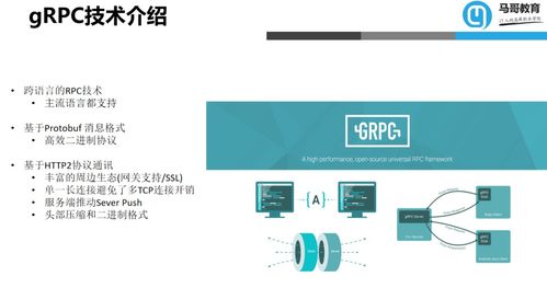 項目實戰 用go構建微服務